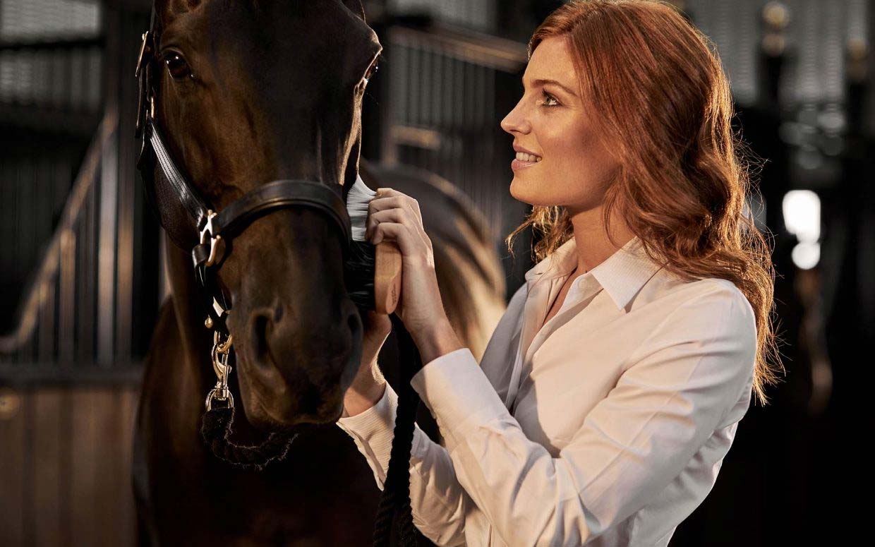 Welcome to the future of horse grooming